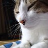 DSC04167
