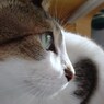 DSC04039