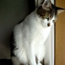 DSC02339