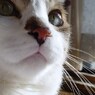 DSC04160