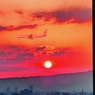 44 Fly by HARUKAS at Sunrise (Review 3)