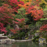 百済寺紅葉２