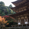 西明寺紅葉１