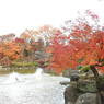 桜山公園の紅葉-2