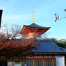 中山寺とちょっと終わりかけた紅葉