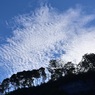カナダのいわし雲