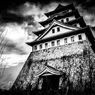 風雲！徳川城！！