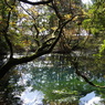 秋の終りの丸池様-3