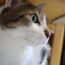 DSC04152