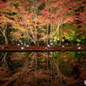 曽木公園のさかさもみじ
