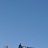 日南市の空