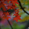 DSC_0159_750