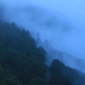 青い森へ