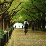 autumn for tokyoites