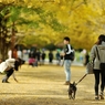 autumn for tokyoites