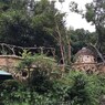 sk-IMG_1948