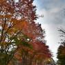DSC_0013_783
