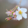 DSC_0059_810