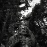 嘘がつけない・・・