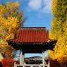 二大巨塔