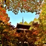 額縁の待龍塔（三重塔）