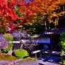 金剛輪寺誘う名勝庭園入り口