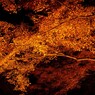 香嵐渓の秋燃ゆ