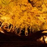 香嵐渓の秋色