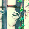 『 leaf 』(07)