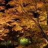 香嵐渓の秋色絵巻