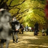 autumn for tokyoites