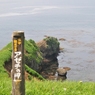 アゼチ