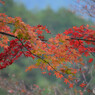 DSC_0166_888