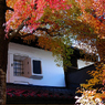 白壁と紅葉