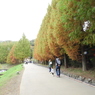 あけぼの子どもの森公園2