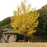 あけぼの子どもの森公園6