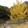 あけぼの子どもの森公園7