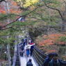 写真エッセイ：花貫渓谷すっ飛び行脚９：吊り橋の盛況１：NTW149