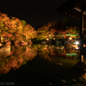 水面に浮かぶ紅葉