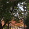 P1013709