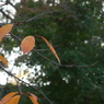 P1013712