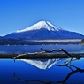 初冬の造景　～Mt.FUJI～