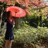 s-DSC_0863