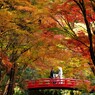 DSCF0021