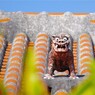 島旅-17