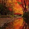 紅染まる