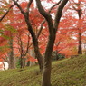 殿ヶ谷戸庭園7