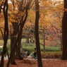 秋は公園が楽しい
