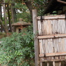 殿ヶ谷戸庭園11