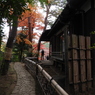 殿ヶ谷戸庭園13